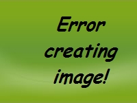 201301nicolas cage 000